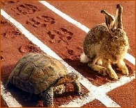tortoise_hare.jpg