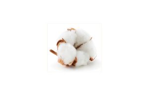 cotton slider