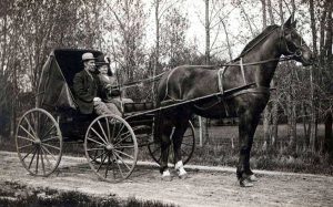 RR The Buggy Whip Industry Rd3