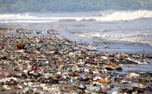 LewisL WasteReduction