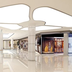 Pam Danzinger-Reviving Malls After Coronavirus-The Robin Report
