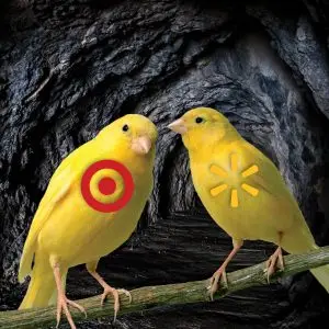 LewisR Canaries