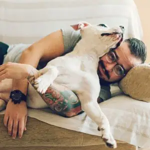 SoulbergW Pets