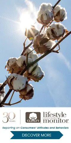 a cotton plant with white flowers