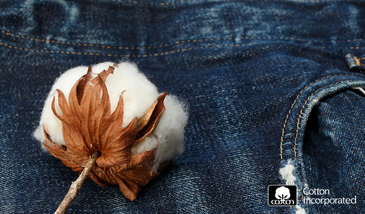 a cotton flower on a blue jeans