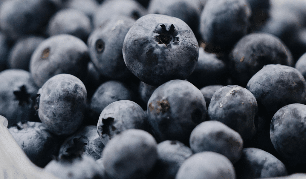 Blueberry Surprise 8 Blueberry Surprise