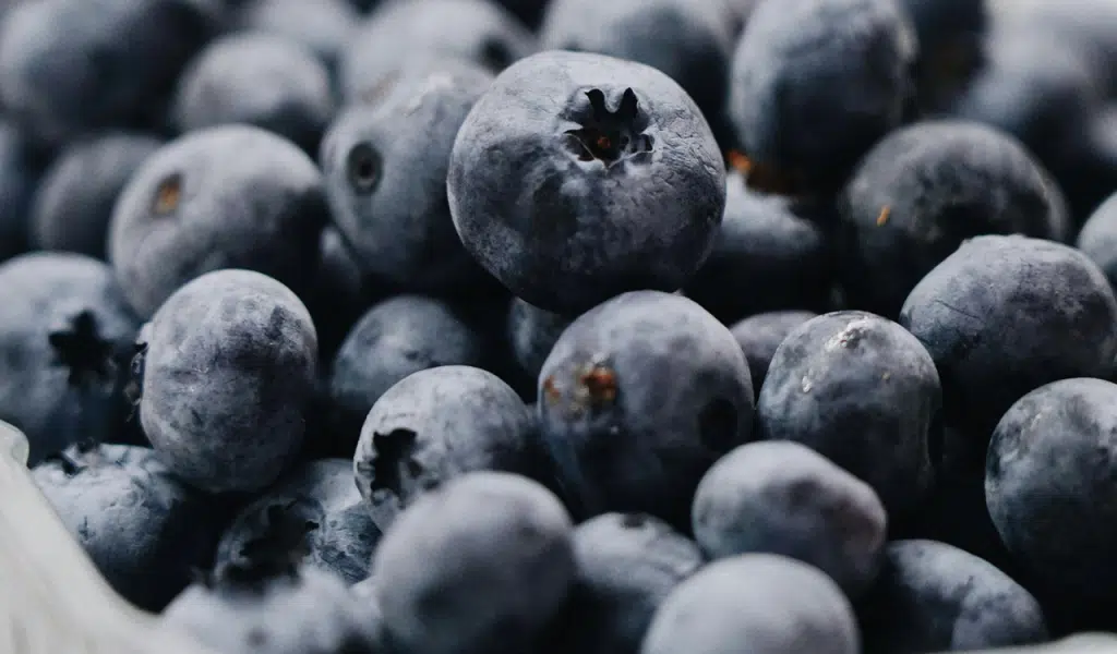Blueberry Surprise