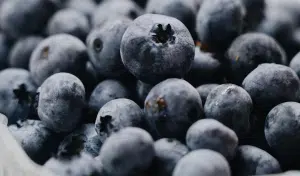 Blueberry Surprise