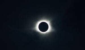 All Insights 2 Creeping Out Customers Is the New Normal