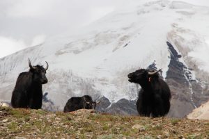 All Insights 1 df48f67fai9c2bf9133026399c42efb3