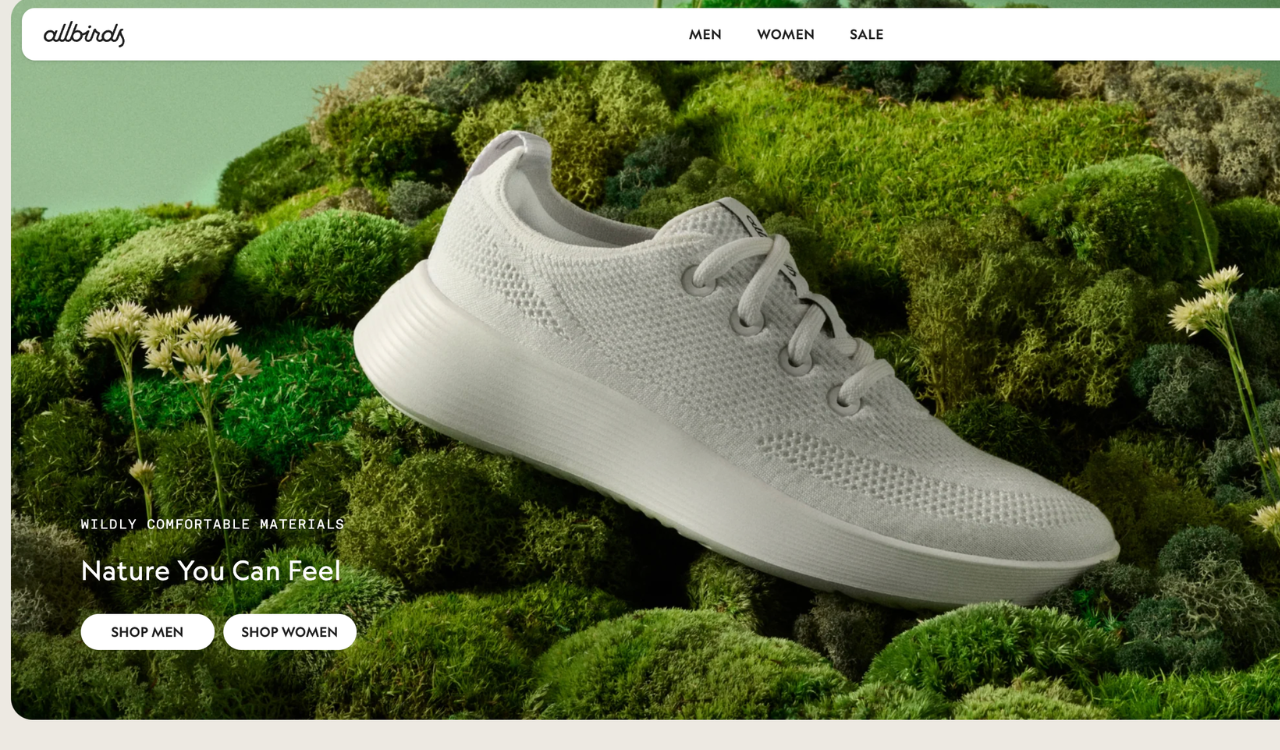 Allbirds The Robin Report Retail Miss of the Week 01. 04. 26