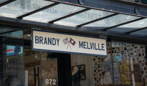All Insights 1 Brandy Melville Is a Gen Z Outlier