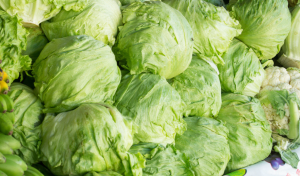 All Insights 1 The Hidden Threat of the Cyclospora Outbreak