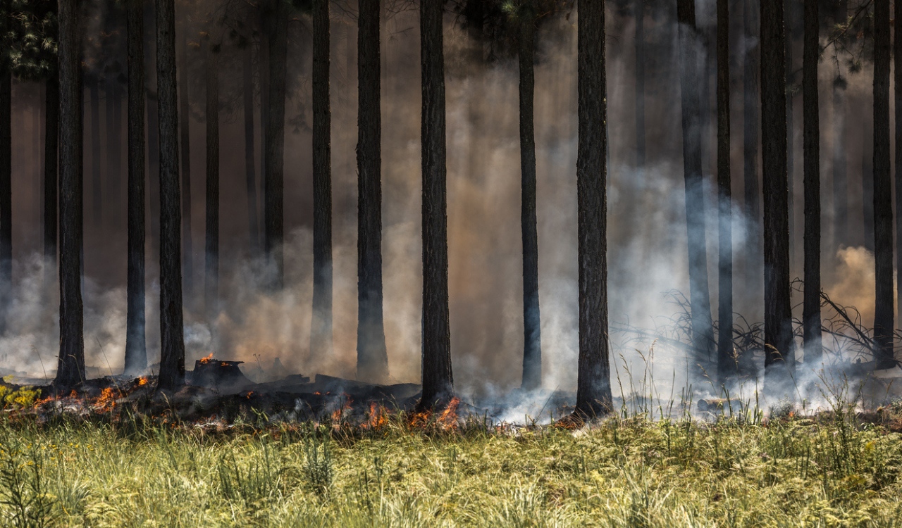 The Slow Burn in Retail